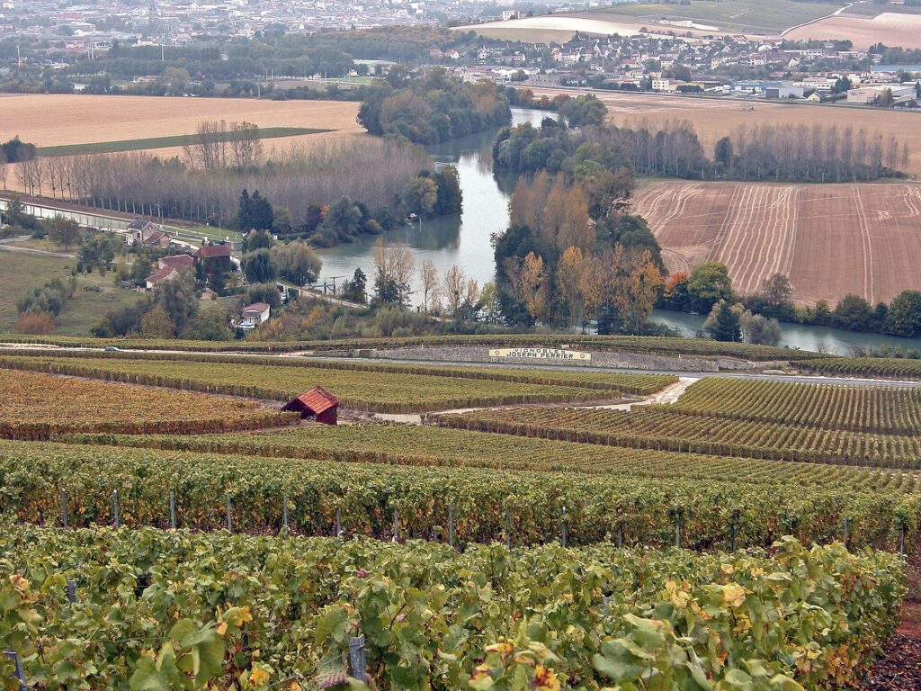 Champagne vineyards above the Marne at Hautvillers