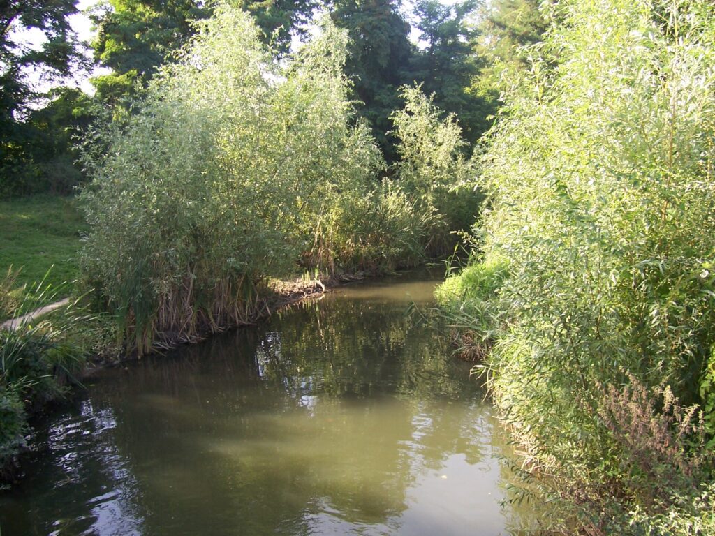 VTC Fresnes – La Bièvre à Fresnes (Val de Marne) Photo Mica 2006