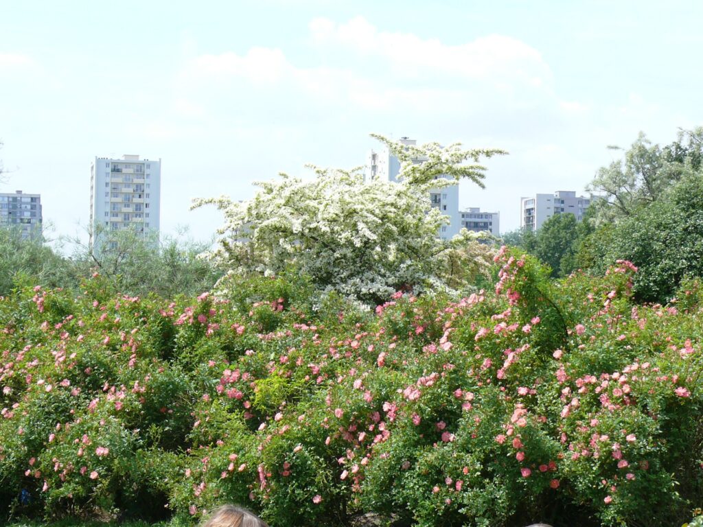 Parc Georges-Valbon (La Courneuve)