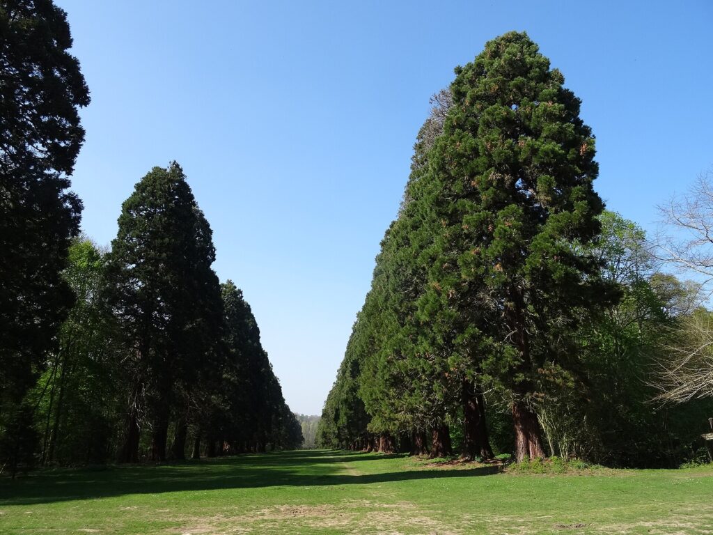 Parc de Villeroy (Mennecy)