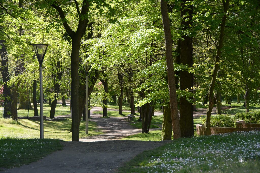 Parc forestier de la Poudrerie (Sevran)