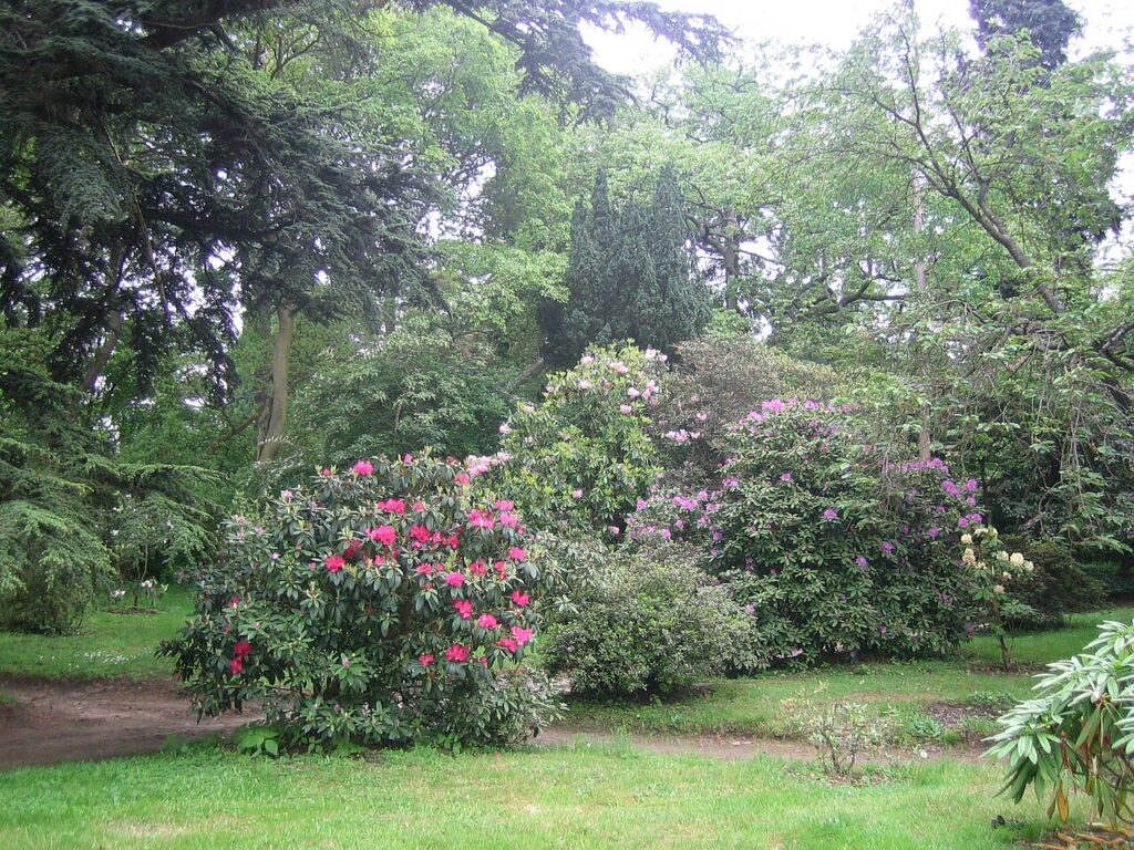 Arboretum Vilmorin à Verrières-le-Buisson