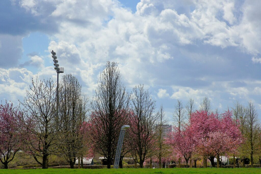 Parc départemental des Hautes-Bruyères (Villejuif)
